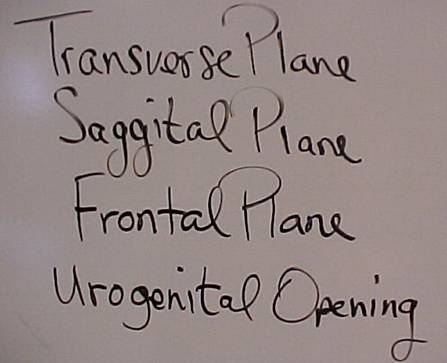 Science Room Whiteboard